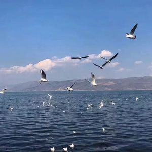 叶山小百合的《妈妈,别哭》
